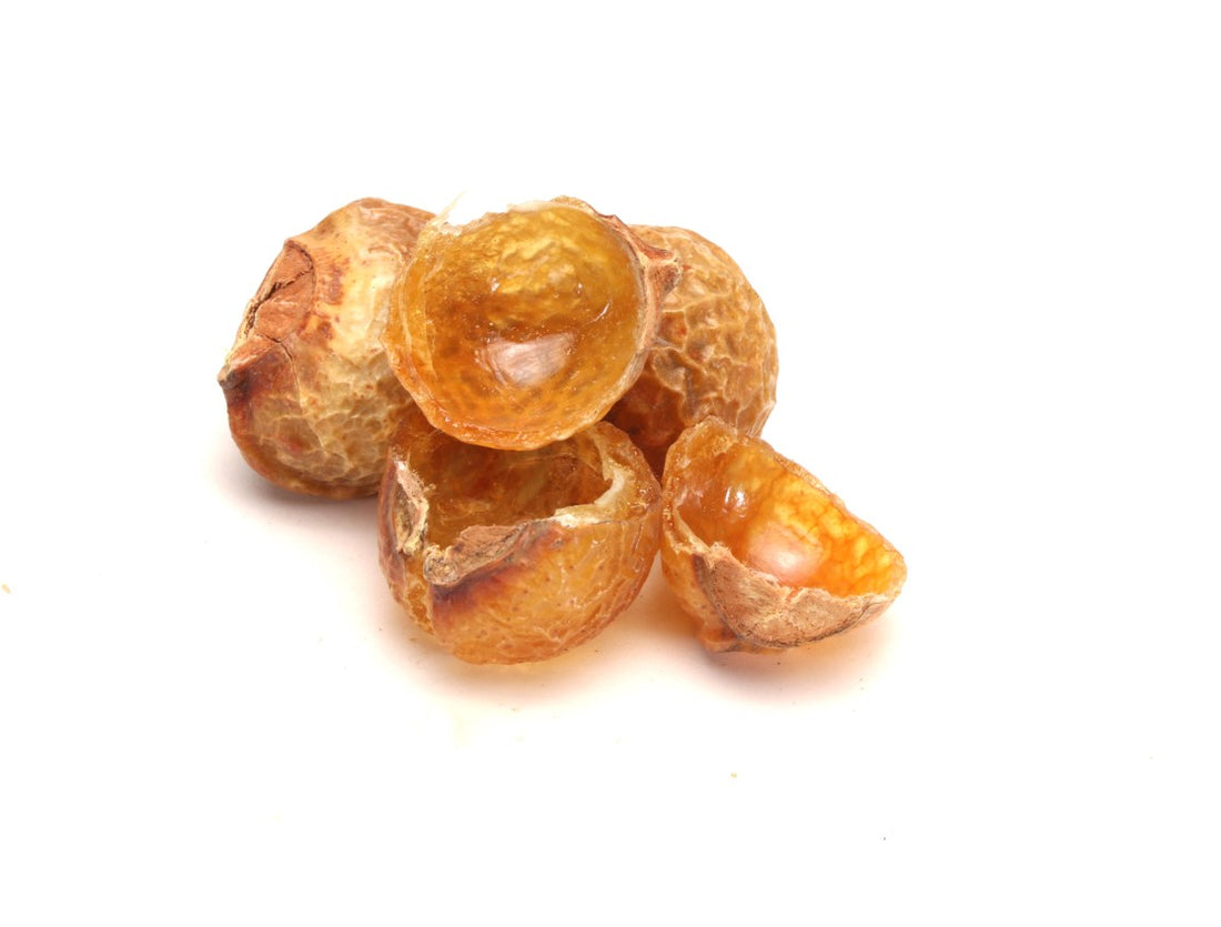 Soap Nuts - Mother Nature's Soap