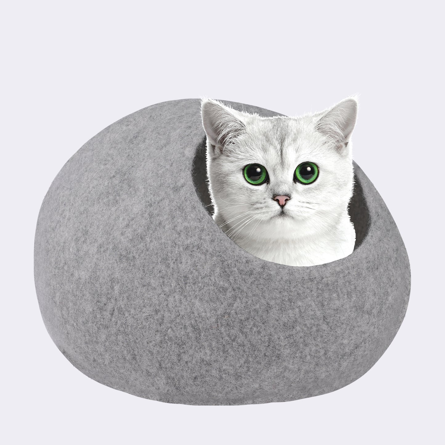 Plain Cat Cave