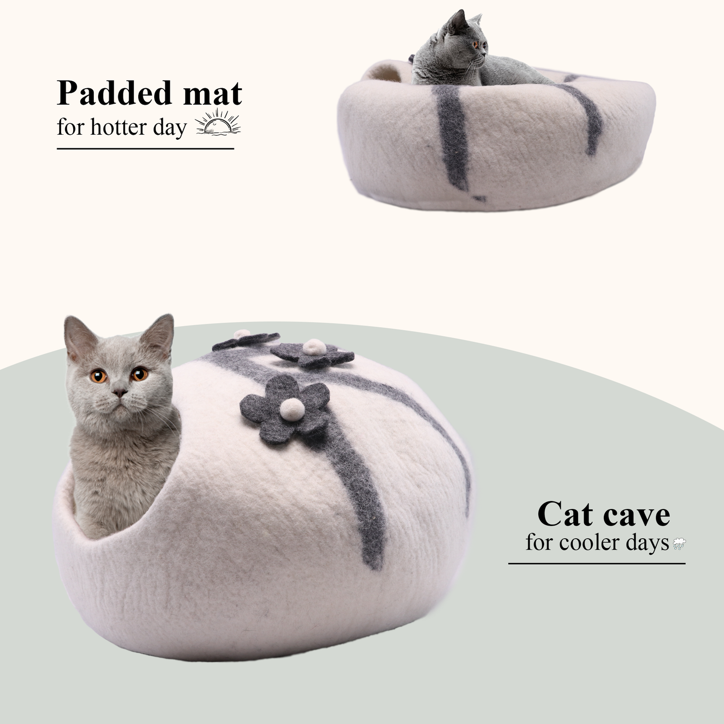 Flower White Cat Cave